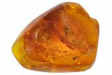 Detailed Fossil Ant, Fly & Springtail In Baltic Amber #142245-3